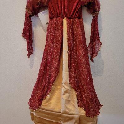 Lot 132: New Princess Paradise DressUp Dress