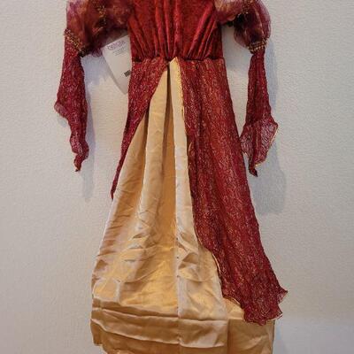 Lot 132: New Princess Paradise DressUp Dress
