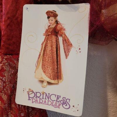 Lot 132: New Princess Paradise DressUp Dress