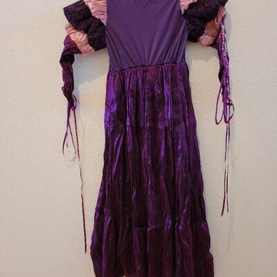 Lot 135: NEW Princess Paradise DressUp Dress