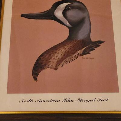 Lot 146: Vintage Duck Prints
