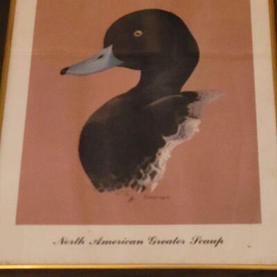 Lot 146: Vintage Duck Prints