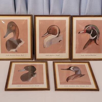 Lot 146: Vintage Duck Prints