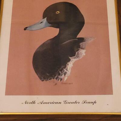 Lot 146: Vintage Duck Prints