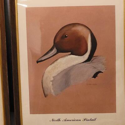 Lot 146: Vintage Duck Prints