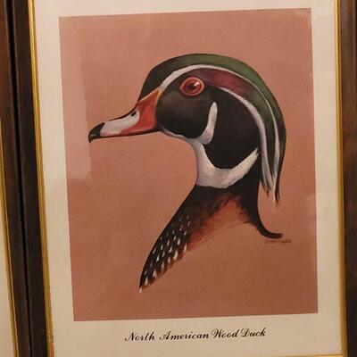 Lot 146: Vintage Duck Prints