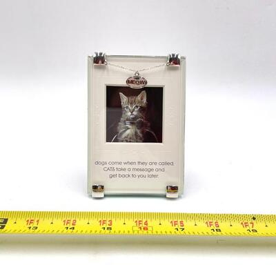 SMALL GLASS CAT FRAME (LOT #148)