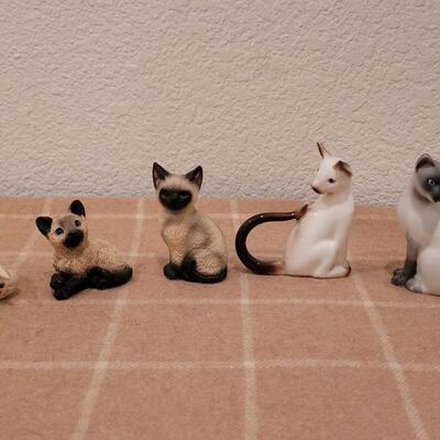 Lot 243: Miniature Cats
