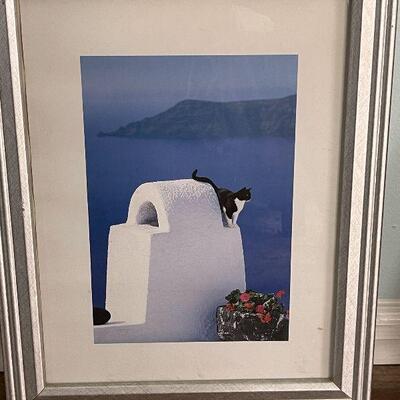 A7: Framed Print of Cat in Greece
