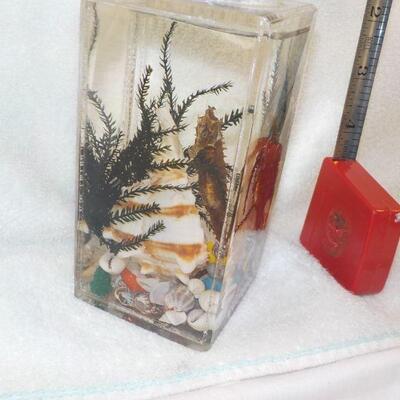 7 In table Florida scenic Ocean Lighter.