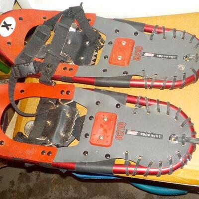 " Exponent Snow & Ice shoes, # 8210 by coleman.