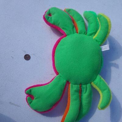 Cute little crab