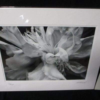 Lot 14 - Unframed Photography By Al Lockwood  20