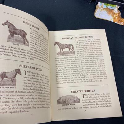 -224- VINTAGE | 1930s | Wards Stock Farm | Over 50 Animals