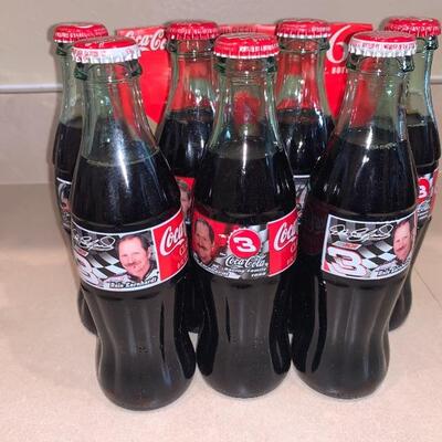 Dale sr and Dale jr Coca Cola bottle set 