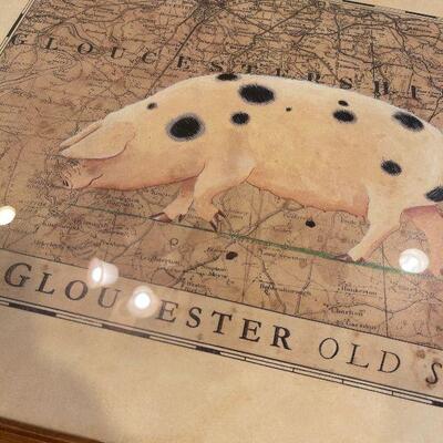#65 The Gloucester Old Spot 