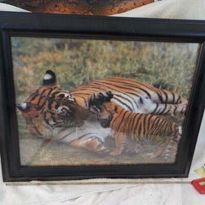 "Beautiful Professional Full size Tiger mom and Baby frame picture."