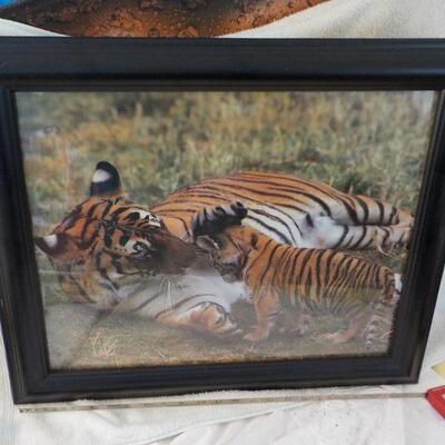 "Beautiful Professional Full size Tiger mom and Baby frame picture."