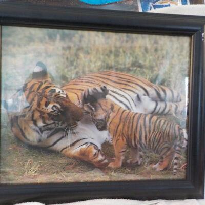 "Beautiful Professional Full size Tiger mom and Baby frame picture."