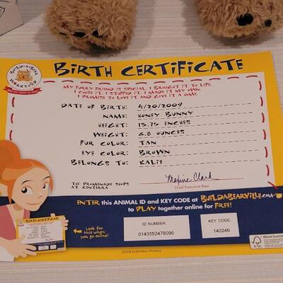 Lot 51: New Build a Bear Bunny