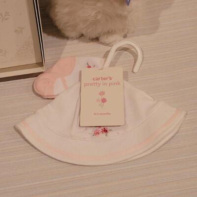 Lot 68: New Baby Girl Blanket, Baby Book, Ganz Bunny and Hat and Socks