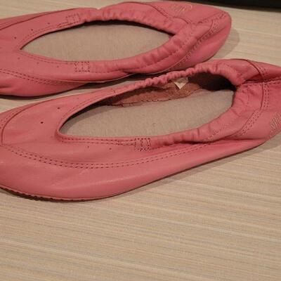 Lot 146: Nike Pink Flats in Carrying Case size 8.5