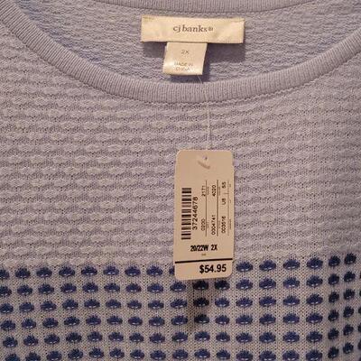 Lot 171: New CJ Banks Sweater