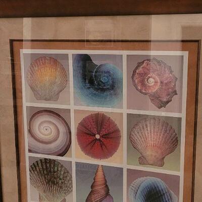 Lot 242: New Home Deco LARGE Fine Art Print "SHELL COLLECTION"