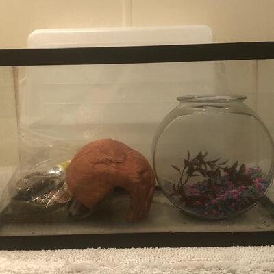 Aquarium and Fish Bowl