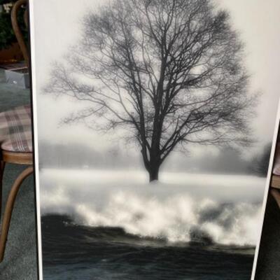 S150 Signed and Numbered Photograph by Emmy Winning Jay Schadler 