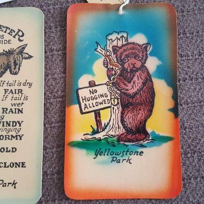 Duo of Yellowstone Souvenir Leather Postcards