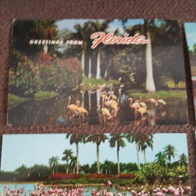 Flock of Flamingo's Postcards