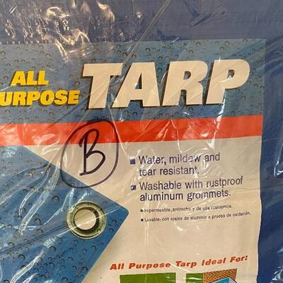 (B) All Purpose 19' x 29' Tarp