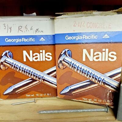 LARGE LOT OF NAILS 