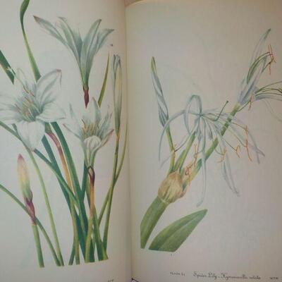 " Wild Flowers of America." by Abe Learner and Bracket.