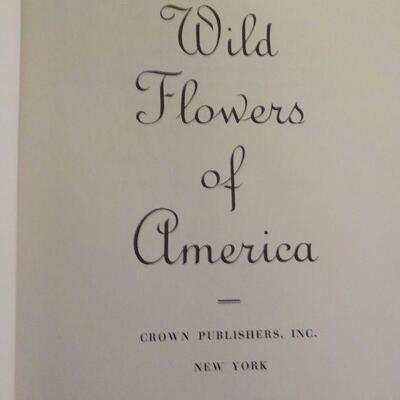 " Wild Flowers of America." by Abe Learner and Bracket.