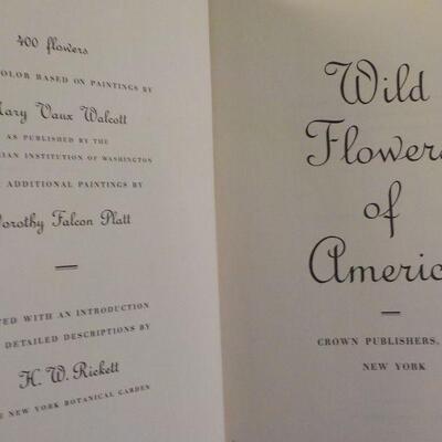 " Wild Flowers of America." by Abe Learner and Bracket.