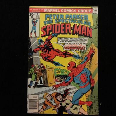 Peter Parker Spetacular Spider-Man #1