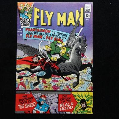 Fly Man #35