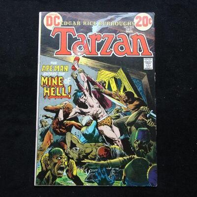 Tarzan #215