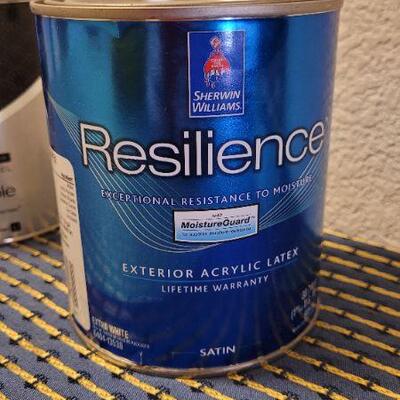 Lot 206: (3) Quarts of Designer Paint Unused