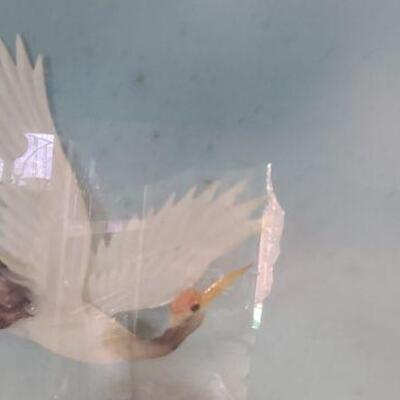 Beautiful Shadow box Asian abalone shell 3D art. 