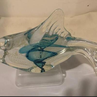 Glass Fish