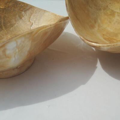 Oyster shell-style bowls and dish