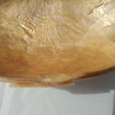 Oyster shell-style bowls and dish