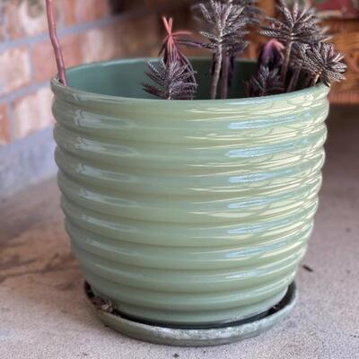 Green Glazed Pot with Overflow Tray