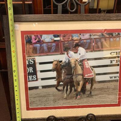 Lot 8 â€“ framed rodeo print