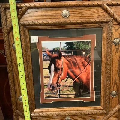 Lot 10 - beautifully wooden  framed horse photograph