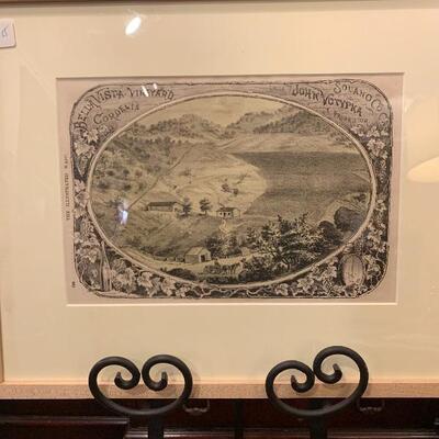 Lot 15 -the illustrated wasp Bella Vista vineyard 20 x 16