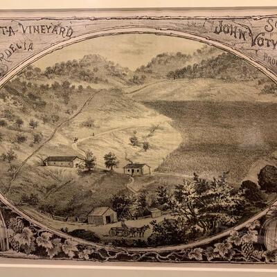 Lot 15 -the illustrated wasp Bella Vista vineyard 20 x 16